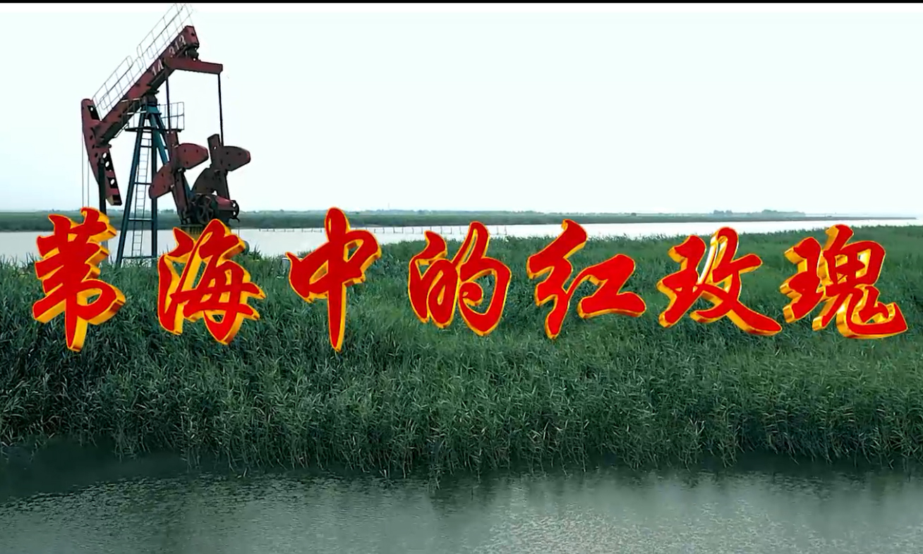 安全生产微电影《苇海中的红玫瑰》