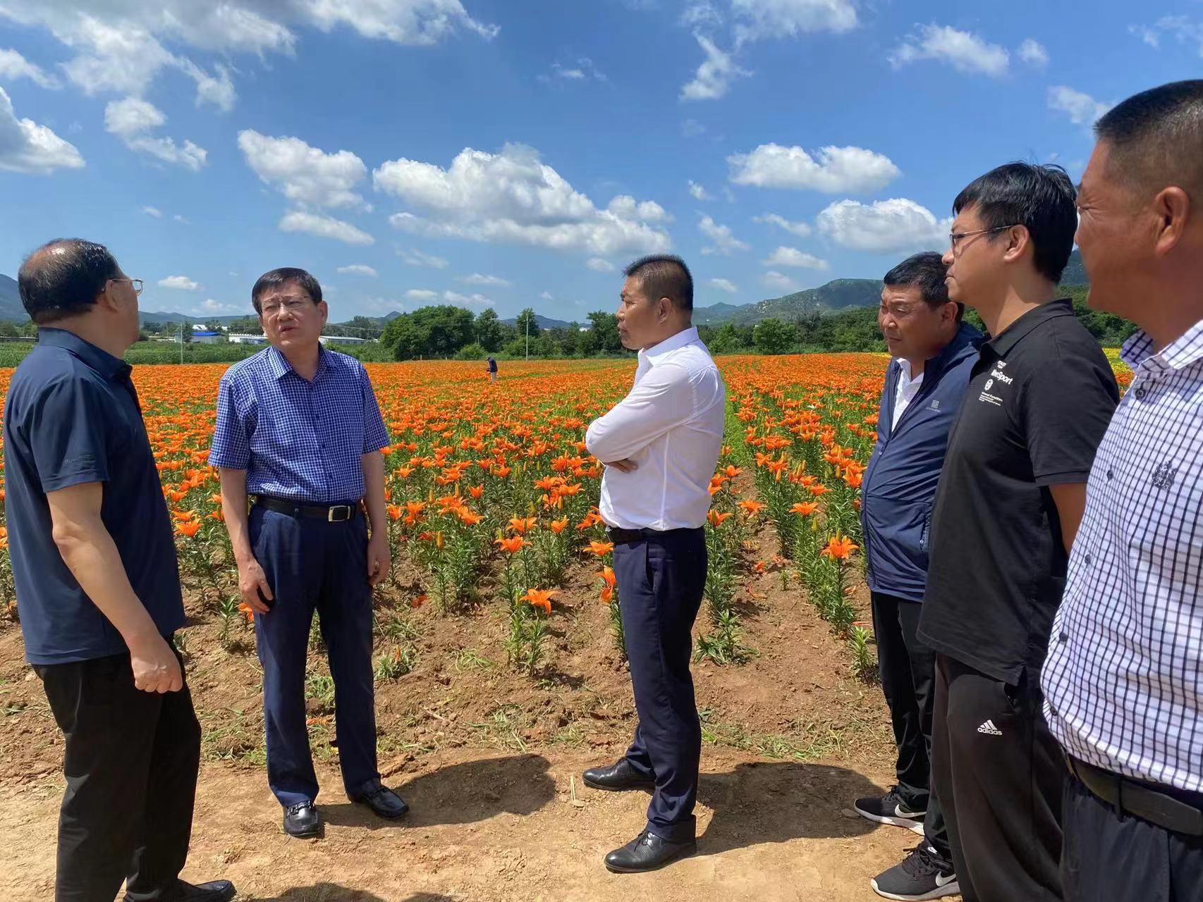 伟德体育(中国)官网主任高炜到阜新蒙古族自治县调研乡村振兴工作